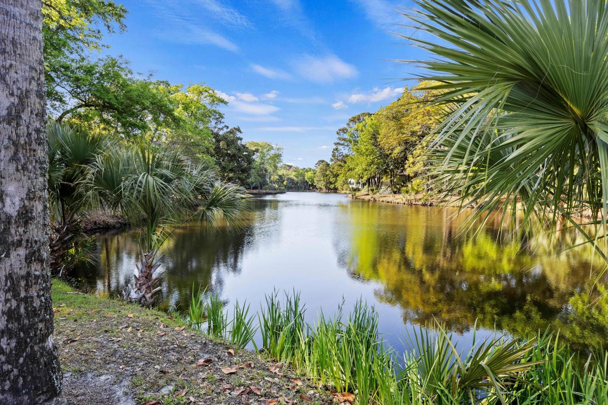 5556 Turtle Cove Villa Kiawah Island Luaran gambar